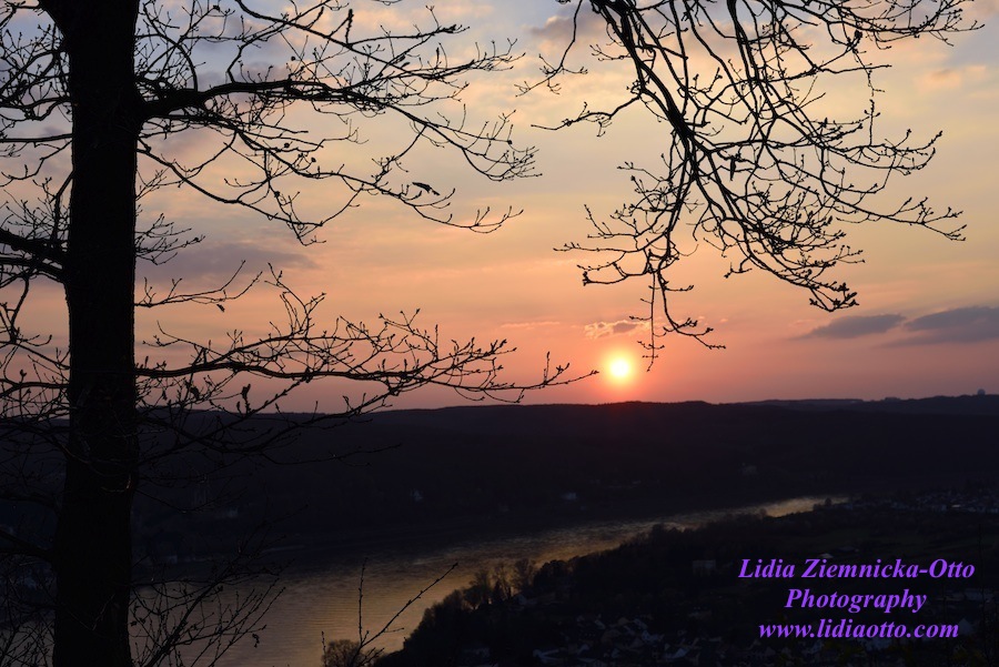 Sunset over The Rhine