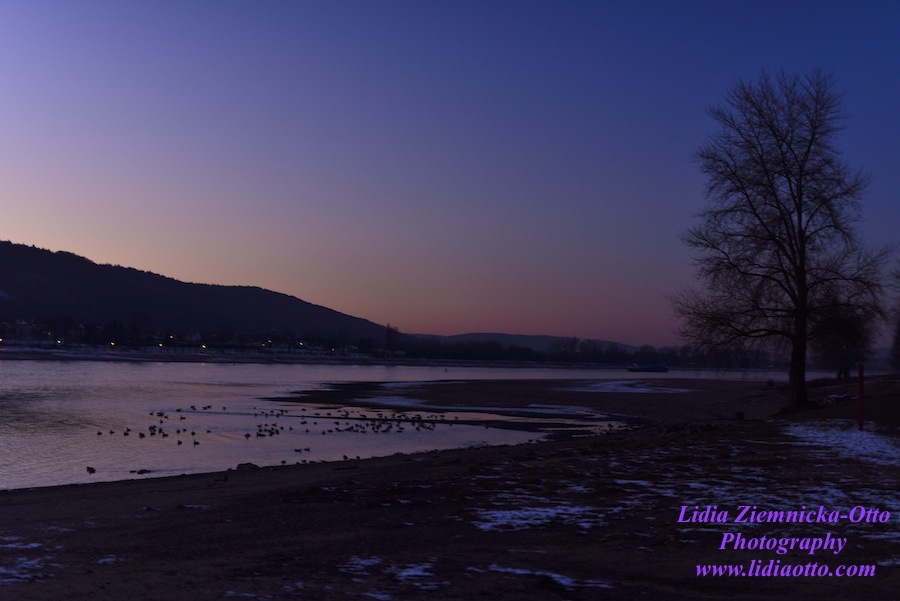 The Purple Night Sky Over The Rhine.jpg