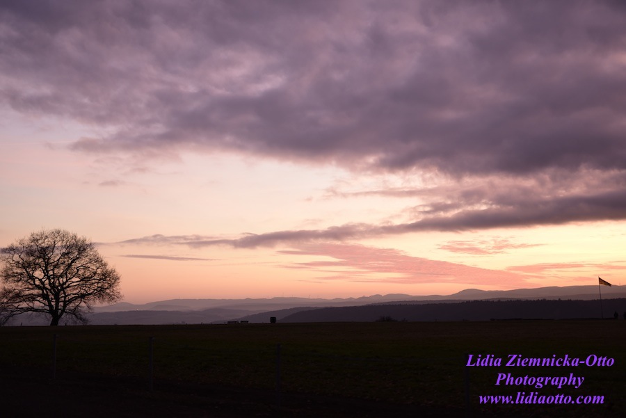 The Tree at the Purple Sunset.jpg
